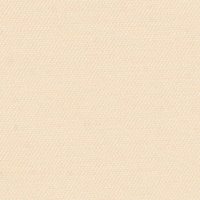 Ivory swatch