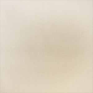 Ivory swatch