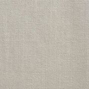 Silver swatch